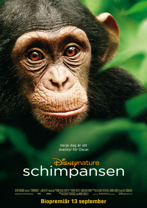 Schimpansen poster