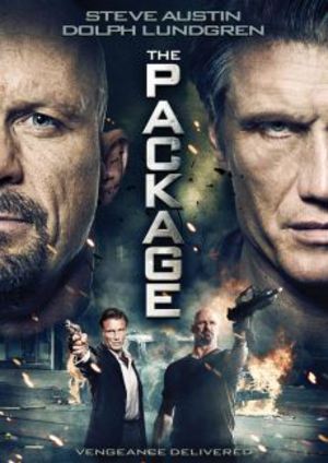 The Package poster