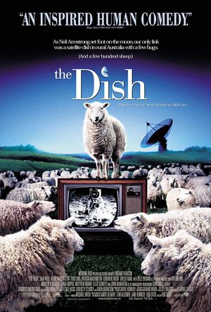 Dish poster