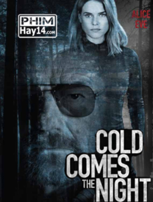Cold Comes the Night poster