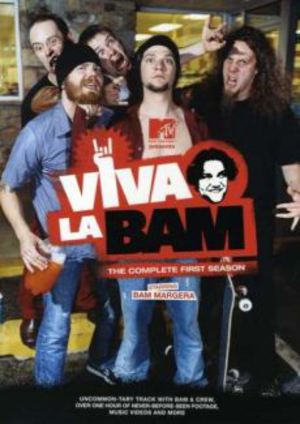 Viva la Bam poster