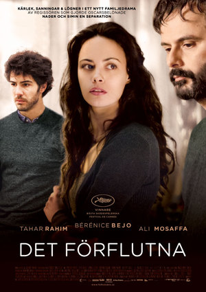 Det förflutna poster