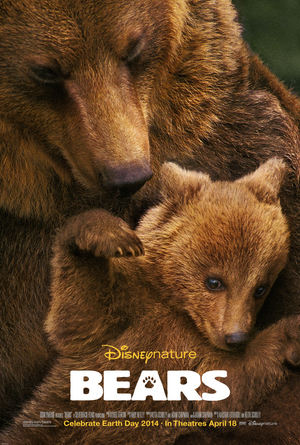 Björnar poster