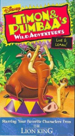 Timon & Pumbaa poster